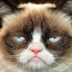 Meet your Posher, Bertha